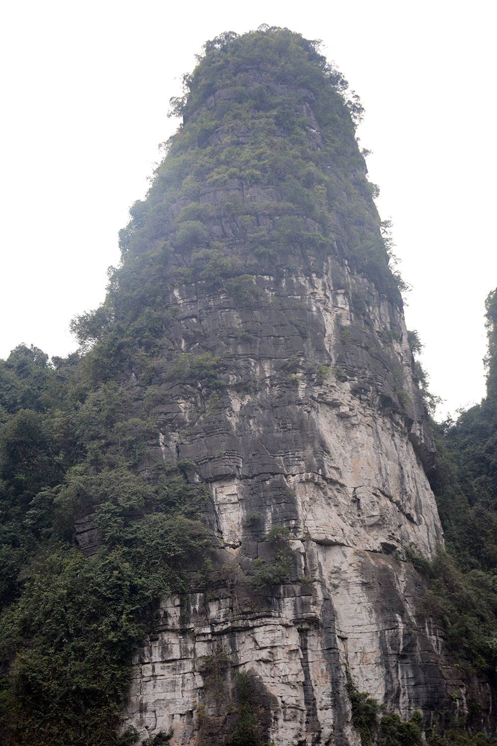 Vách núi gần như thẳng đứng và có cây mọc xen kẽ, cao vút, nhìn như ngọn tháp khổng lồ bằng đá xanh.