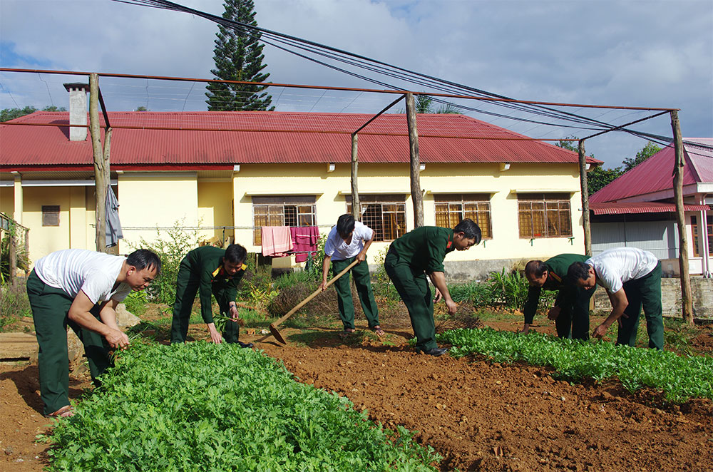 Hiệu quả tăng gia từ đơn vị đến gia đình
