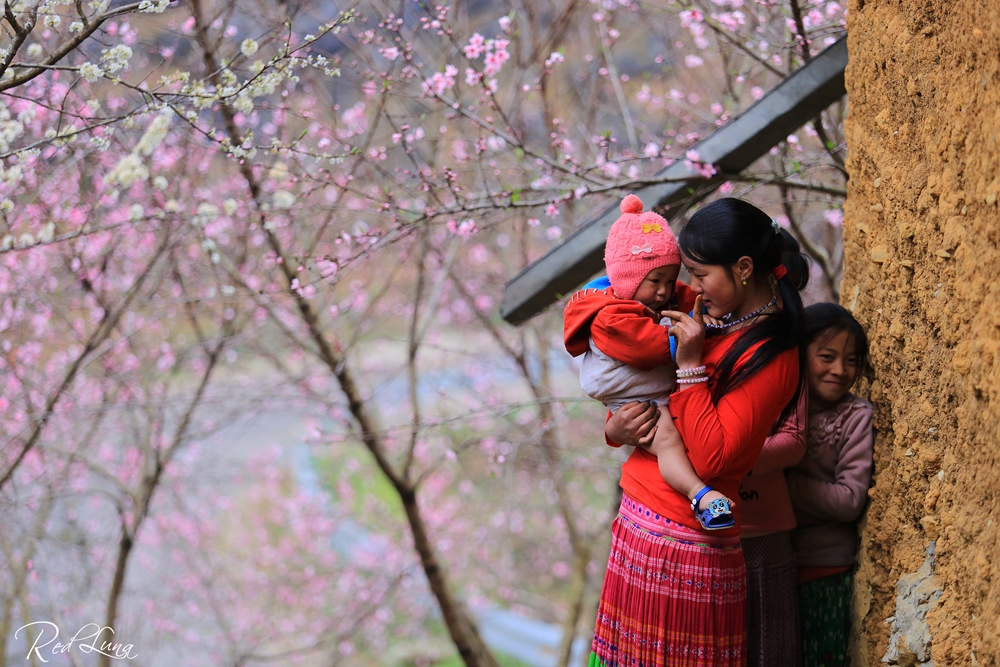 Một góc gia đình người Mông ở Đồng Văn