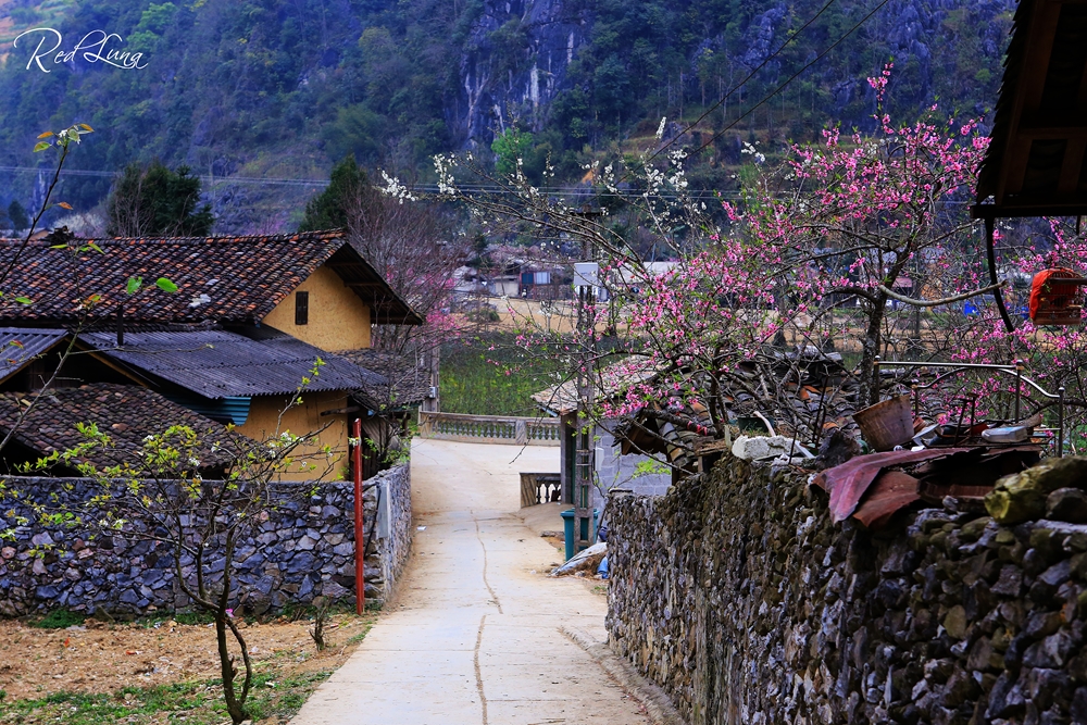 Đây là nơi có ngôi nhà nổi tiếng trong phim trường “Chuyện nhà Pao” và là điểm dừng chân yêu thích nhất của du khách bởi những khung cảnh đặc trưng của cao nguyên đá, đó là những mái ngói âm dương, tường rào đá...
