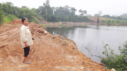 Thông tin từ đường dây nóng
