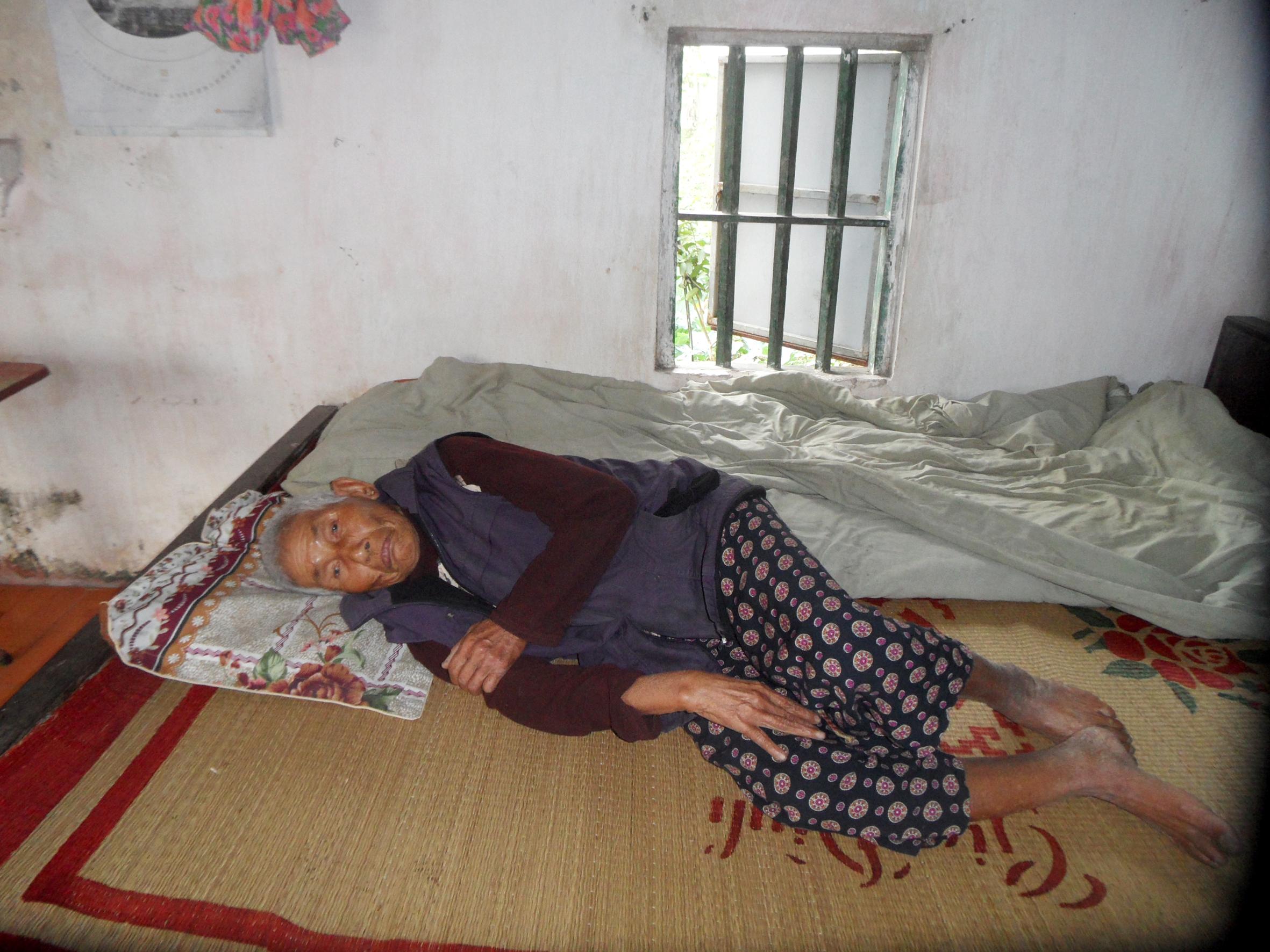 Gieo neo gia cảnh bà Bồng
