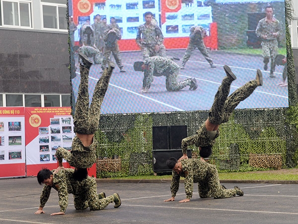 Trình diễn võ thuật...