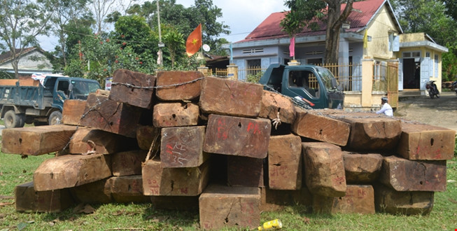 Thông tin từ đường dây nóng
