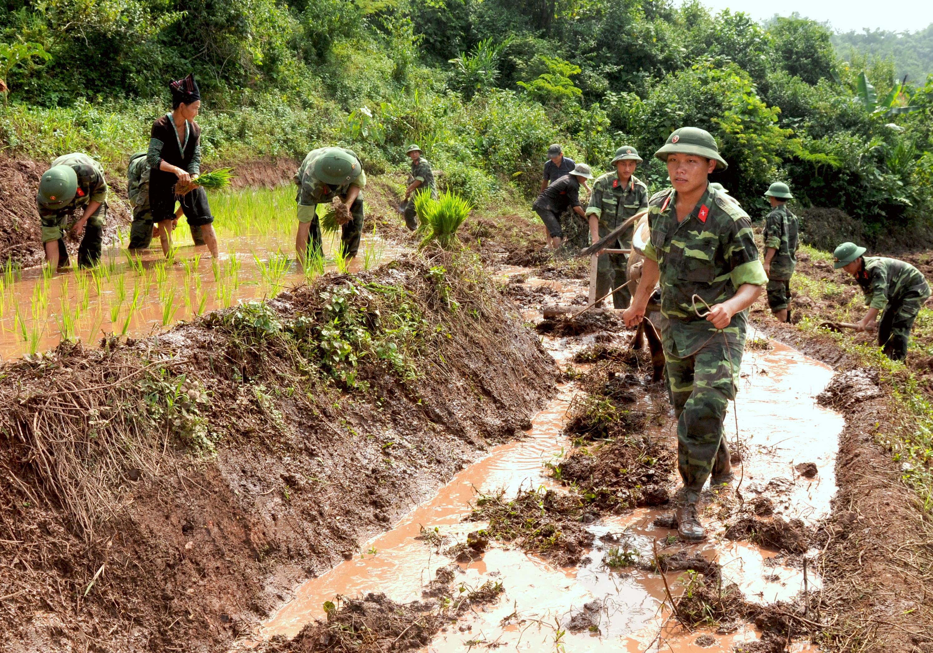 Hình thức phù hợp, nội dung thiết thực