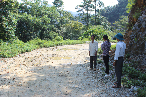 Thông tin từ đường dây nóng
