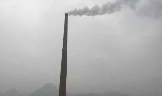 Thông tin từ đường dây nóng
