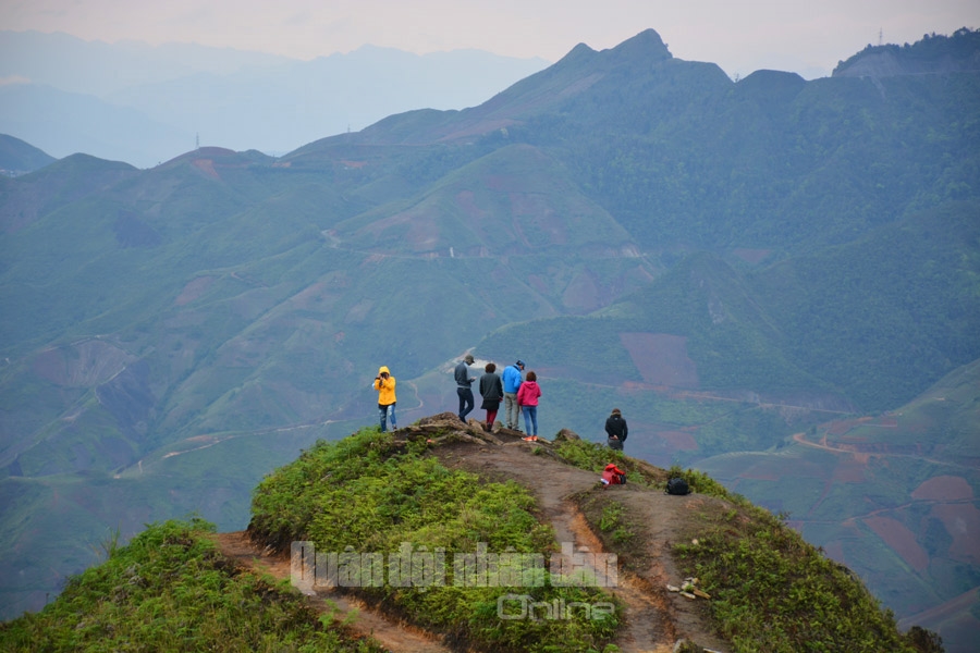 Đây là một mỏm ở phần gần cuối