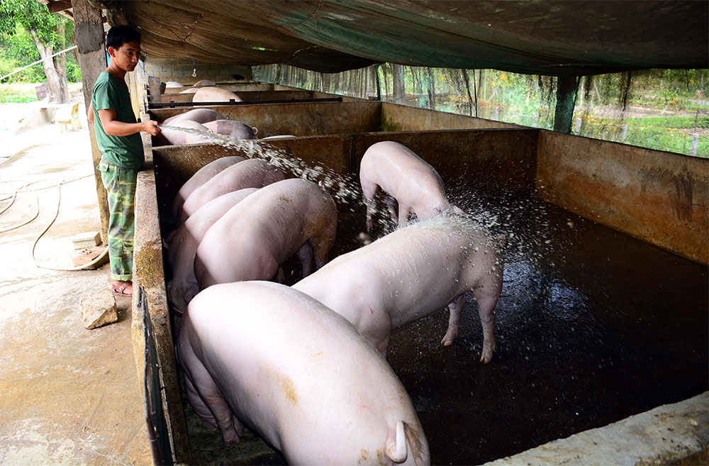 Lữ đoàn Tăng-Thiết giáp 416: Xây dựng mô hình tăng gia sản xuất tập trung hiệu quả

