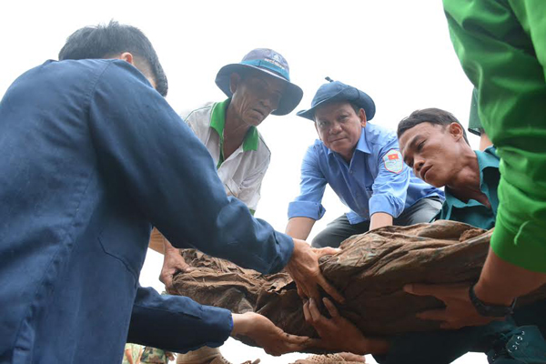 Đội K93 quy tập thêm được hơn 100 hài cốt liệt sĩ