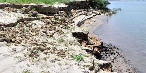 Thông tin từ đường dây nóng
