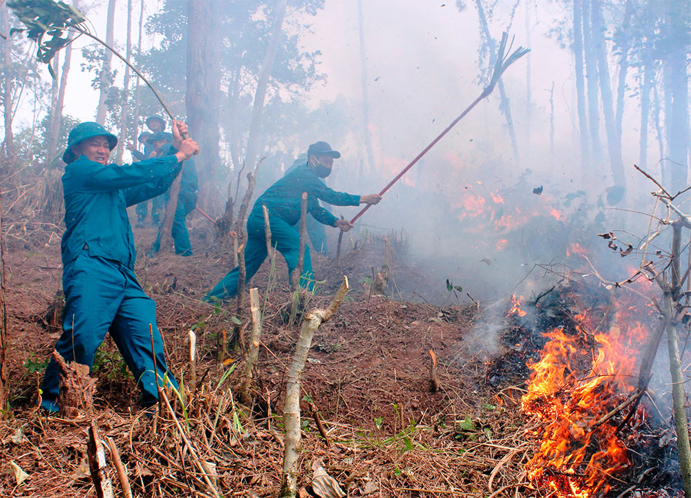 Chú trọng huấn luyện, diễn tập thực hiện tốt nhiệm vụ
