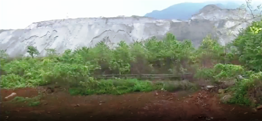 Thông tin từ đường dây nóng
