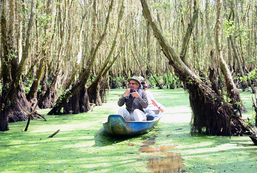 Phát huy đặc thù, tăng cường liên kết vùng
