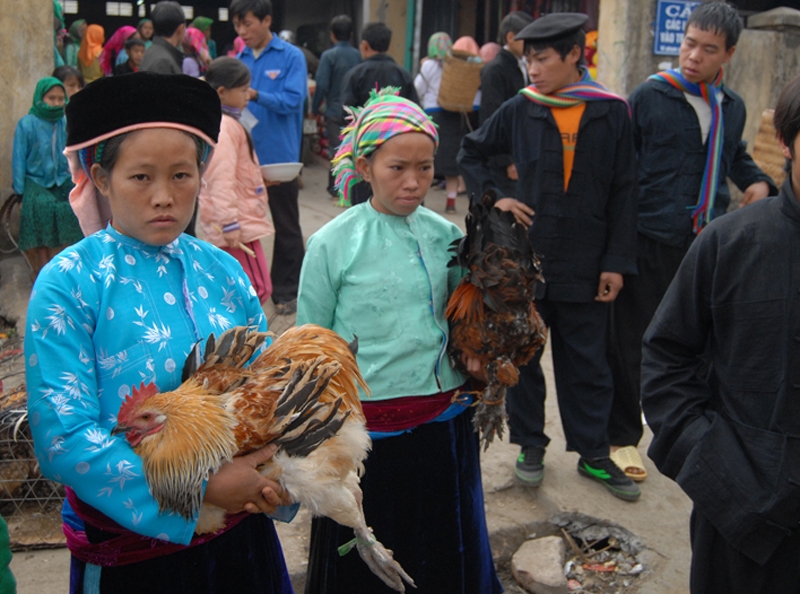 Phong cách bán hàng rất đồng bào.