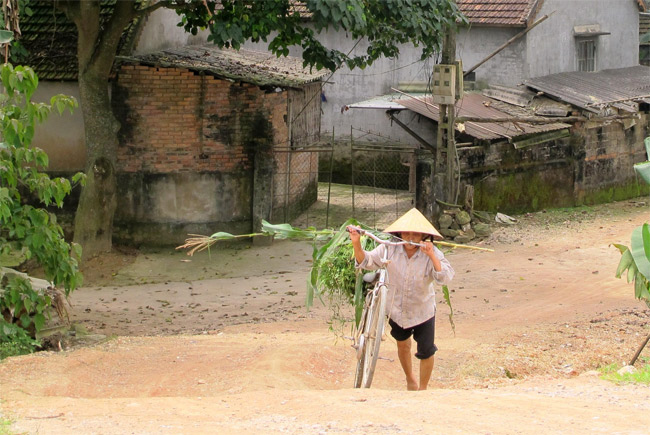 Cần sớm hoàn thành tuyến đê chống lũ