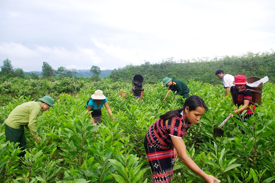 “Bộ đội 92” giúp dân thoát nghèo
