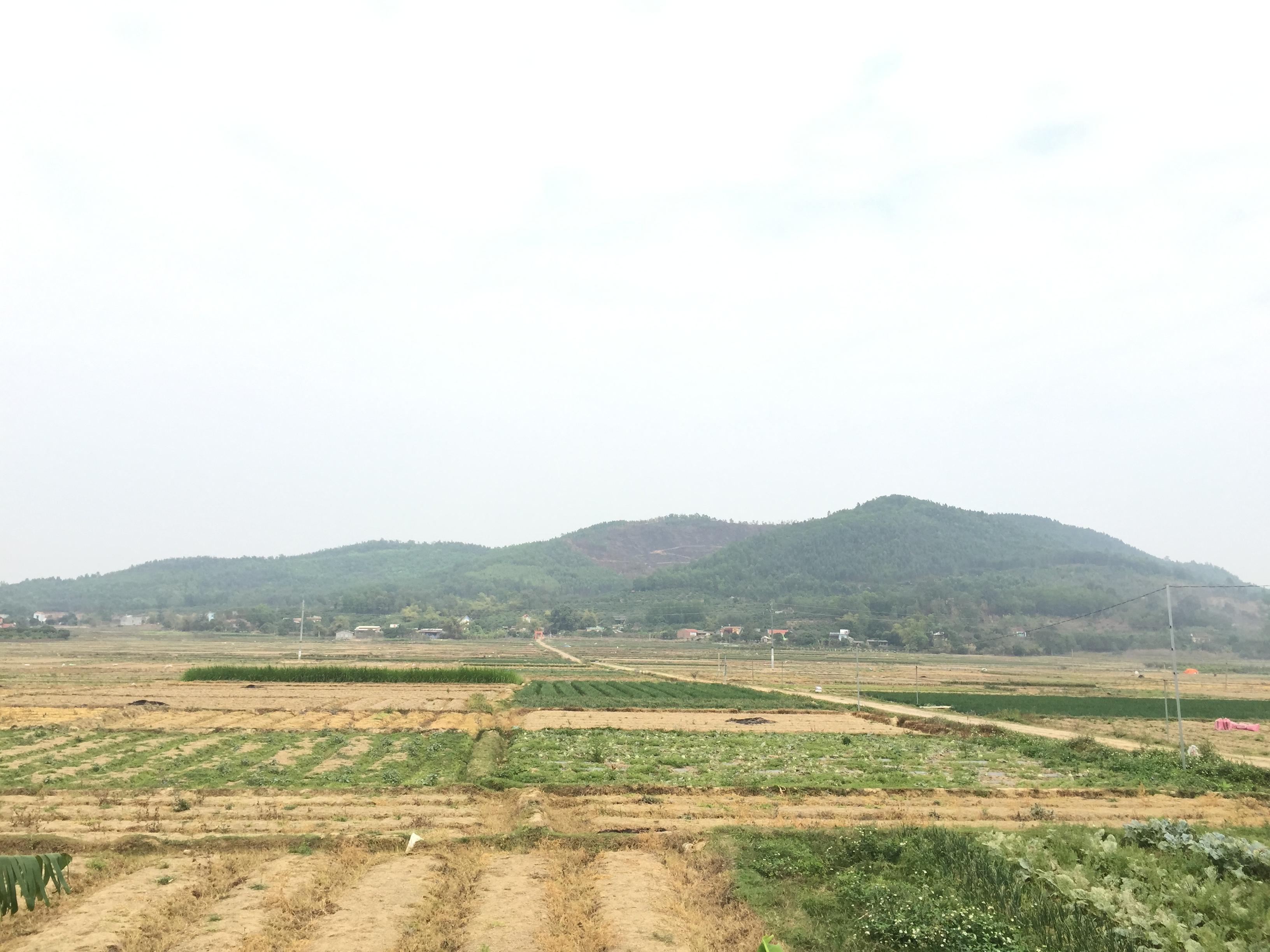 Nên được rà soát, thẩm định chặt chẽ hơn
