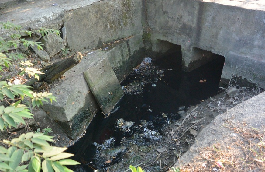 Thông tin từ đường dây nóng
