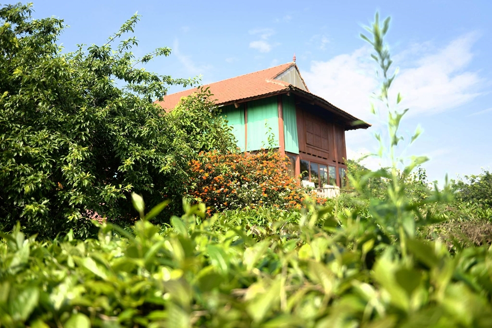 Một ngôi nhà trong khu nghỉ dưỡng Arena Village.