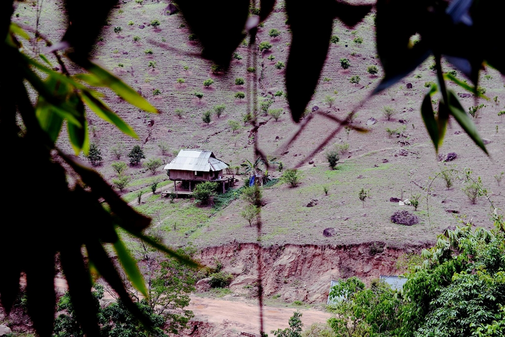 Thỉnh thoảng lại nhìn thấy một ngôi nhà sàn lấp ló qua những tán lá.