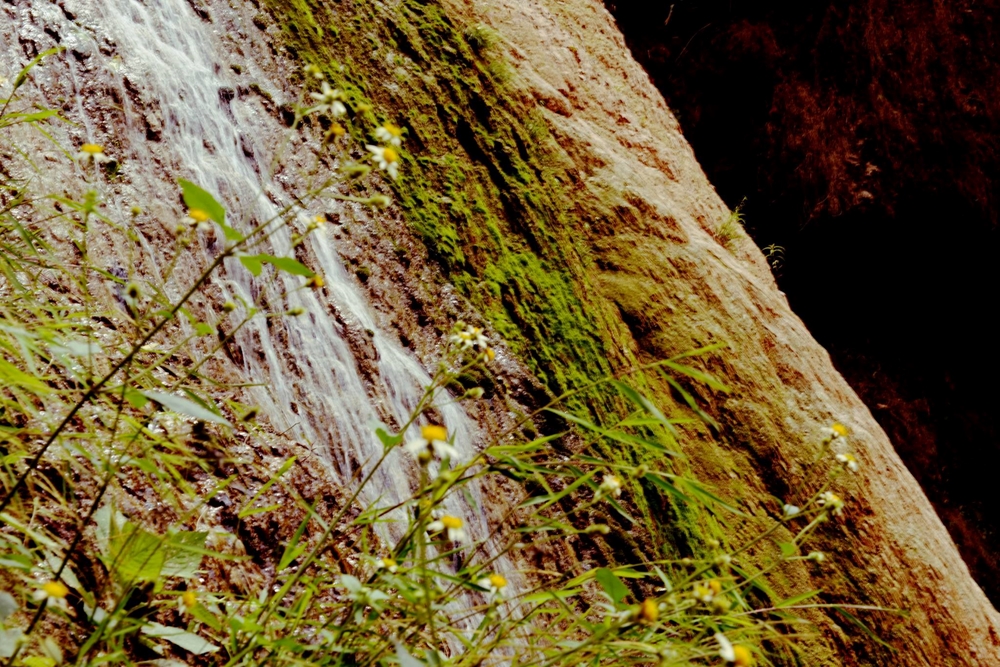 ...nhưng thay vào đó là vẻ đẹp dịu dàng.