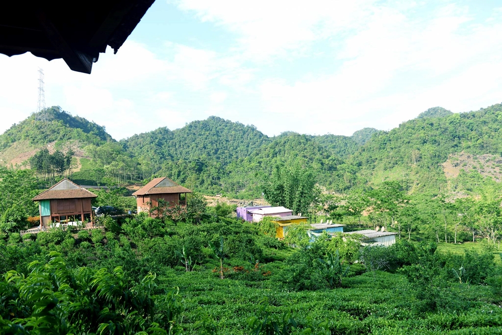 Ngoài ra, Mộc Châu còn có nhiều khu nghỉ dưỡng gần gũi với thiên nhiên...