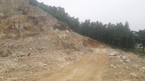 Thông tin từ đường dây nóng
