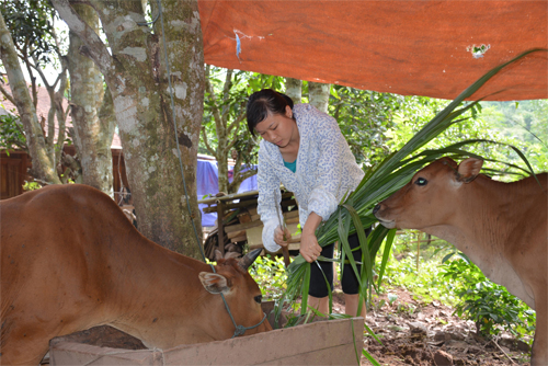 Tháo gỡ nỗi lo thất nghiệp cho sinh viên vùng cao