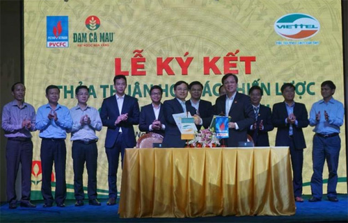 PVCFC hợp tác chiến lược với Tổng công ty Viễn thông Viettel