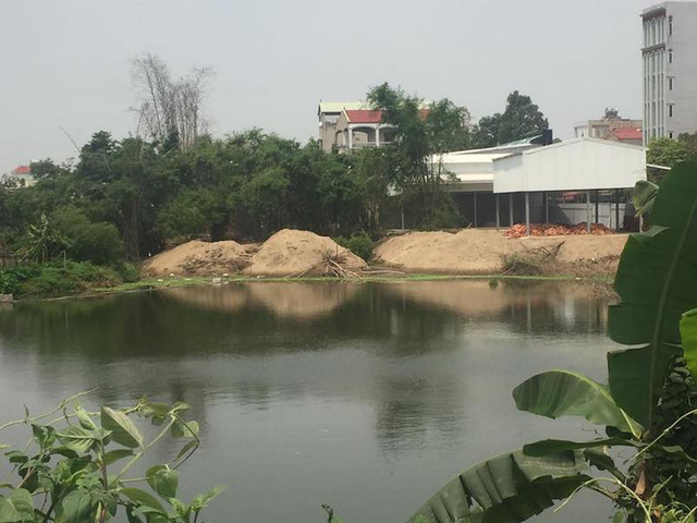 Thông tin từ đường dây nóng
