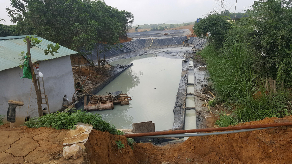 Chế tài xử phạt chưa đủ sức răn đe
