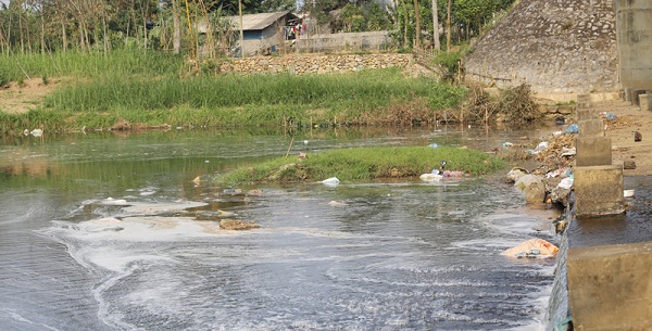 Thông tin từ đường dây nóng