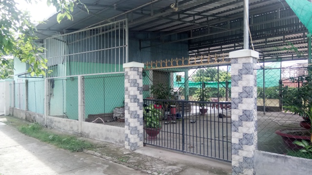 Thông tin từ đường dây nóng