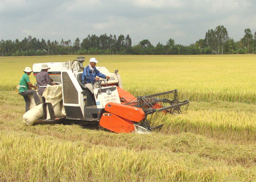 Tháo gỡ bất cập về chính sách xuất khẩu gạo