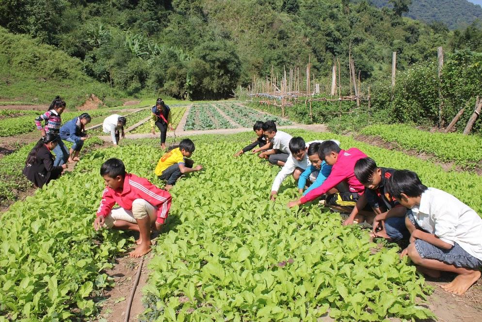 Mô hình cần nghiên cứu, nhân rộng
