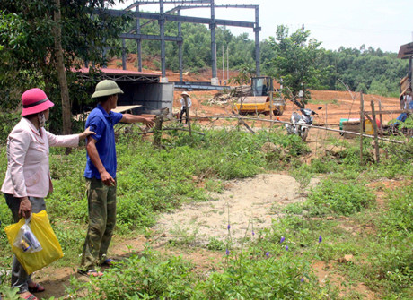 Thông tin từ đường dây nóng
