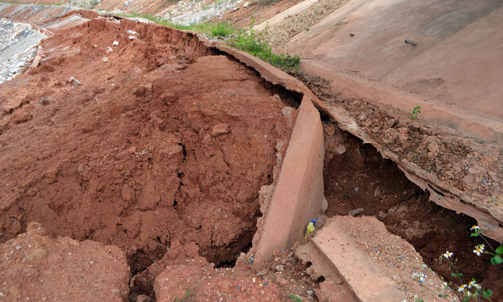 Thông tin từ đường dây nóng