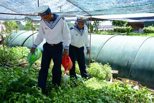 An Bang-đảo xanh giữa đại dương