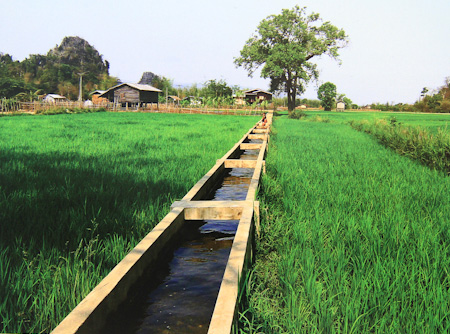 THỦY LỢI VÀ TƯ DUY THỊ TRƯỜNG