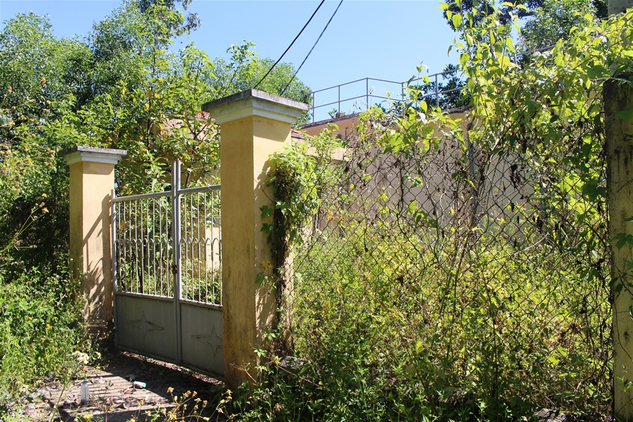 Thông tin từ đường dây nóng
