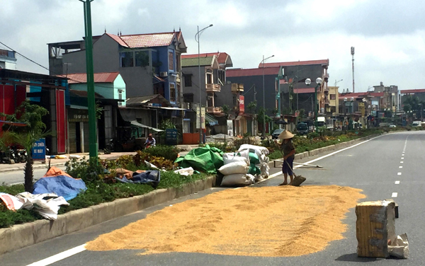Chiếm dụng lòng đường làm sân phơi rơm, thóc