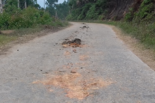 Thông tin từ đường dây nóng
