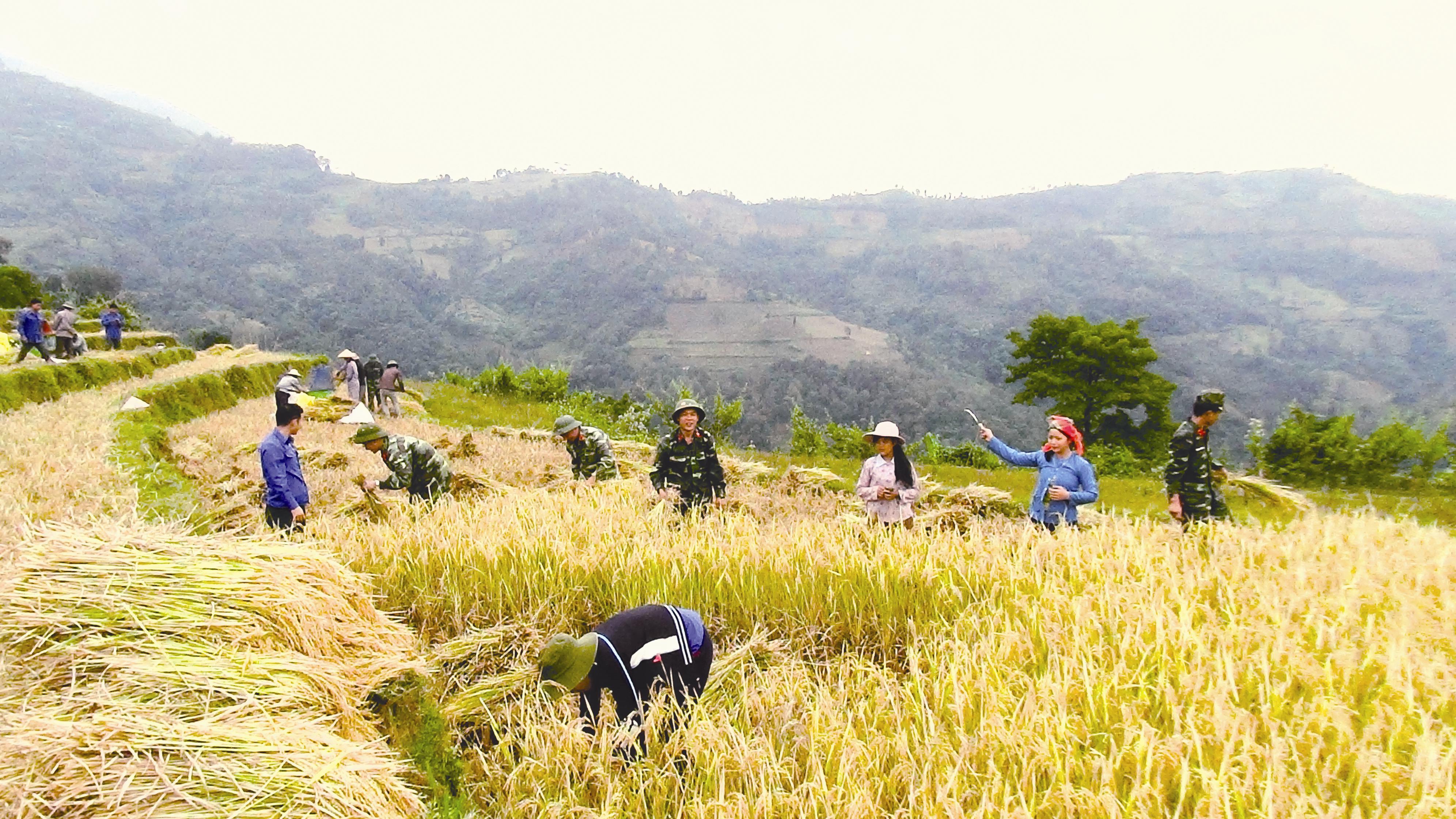 Bài 2: Hết đói, thoát nghèo nhờ bộ đội