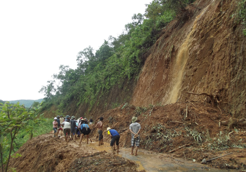 Thông tin từ đường dây nóng
