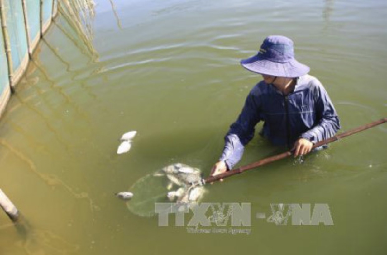 Thông tin từ đường dây nóng