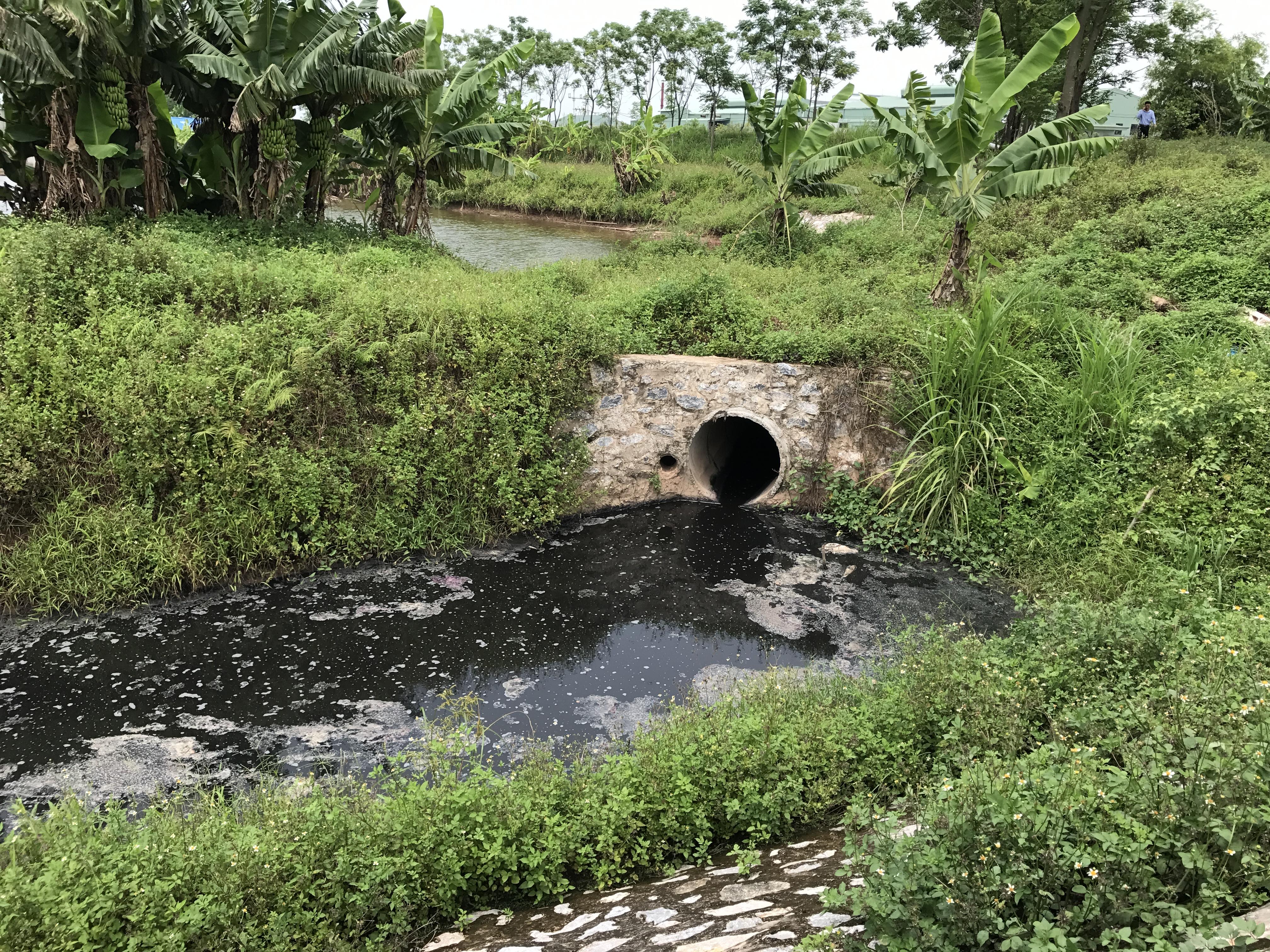 Trạm xử lý nước thải chưa thể... xử lý nước thải
