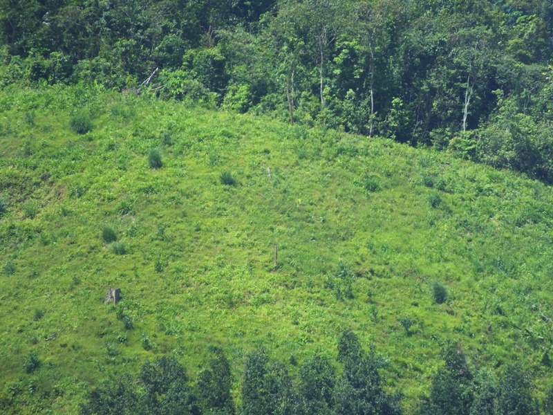 Thông tin từ đường dây nóng
