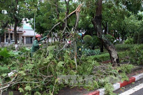 Bão số 2 suy yếu thành áp thấp nhiệt đới ở khu vực Trung- Lào