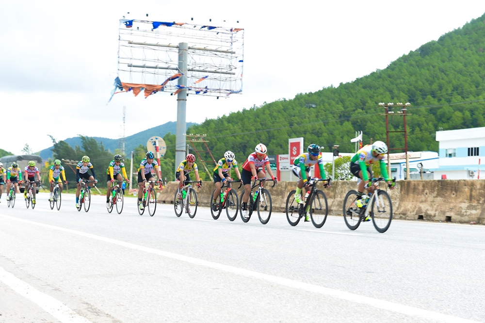 Nhiều cây ngã đổ, nhiều biển hiệu